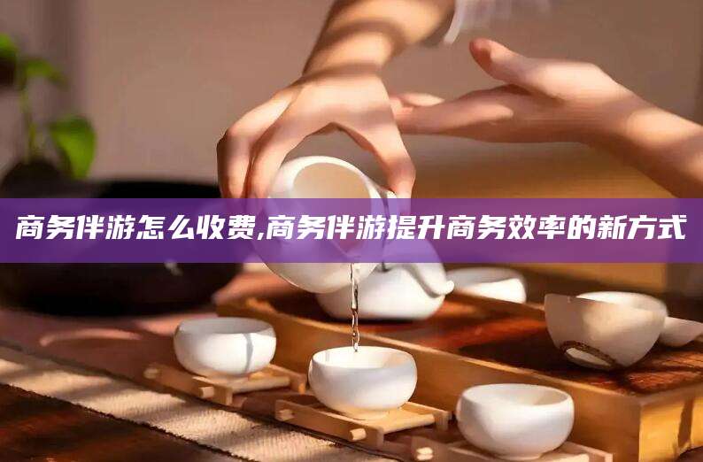 梅河口商务伴游怎么收费,商务伴游提升商务效率的新方式